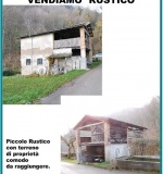 Dettagli